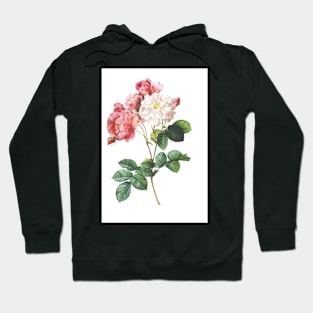 Rose Hoodie